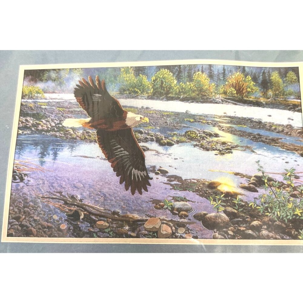 Sunset Spring On The River Crewel Embroidery Kit Eagle Landscape John Pitcher